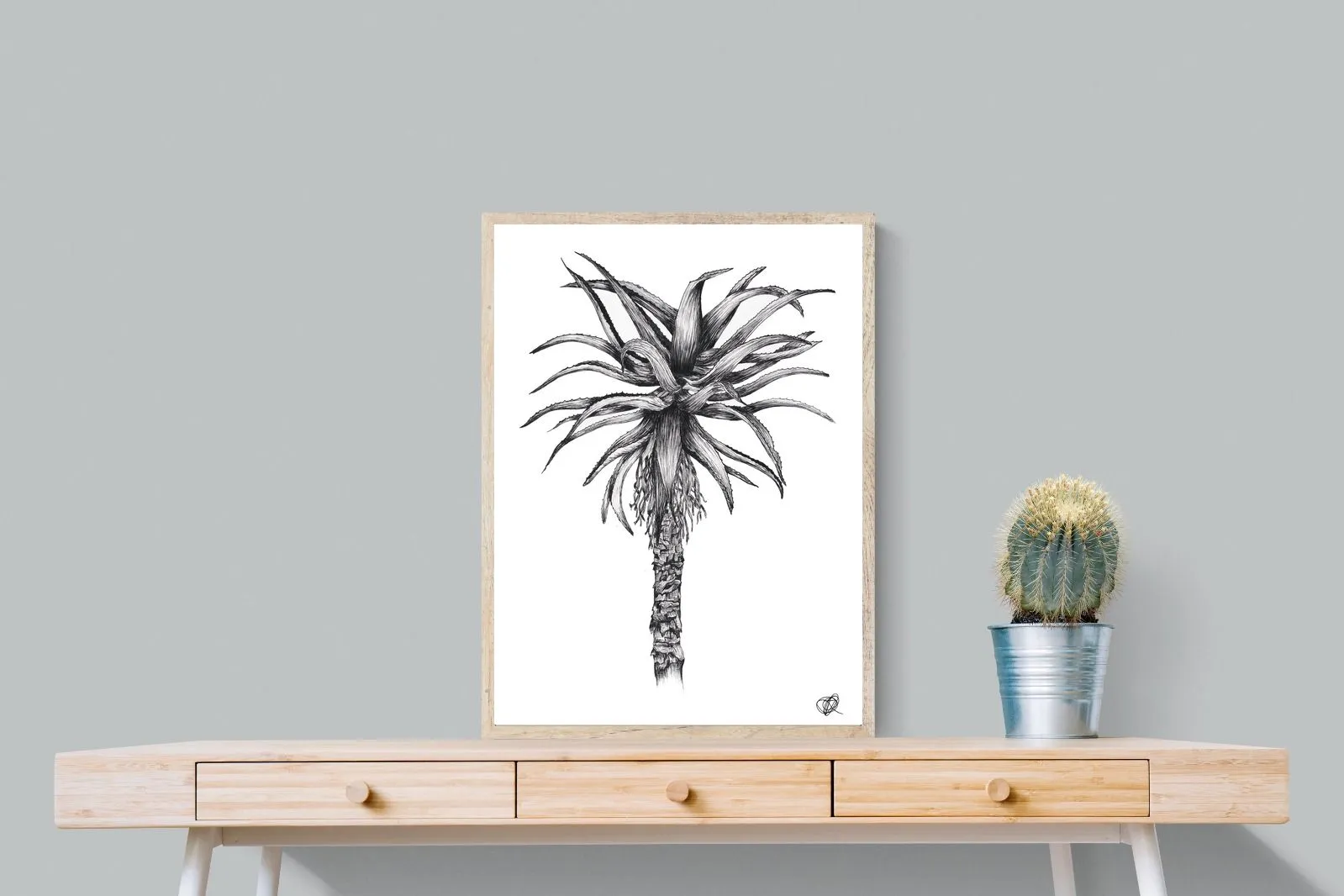 Aloe Illustration