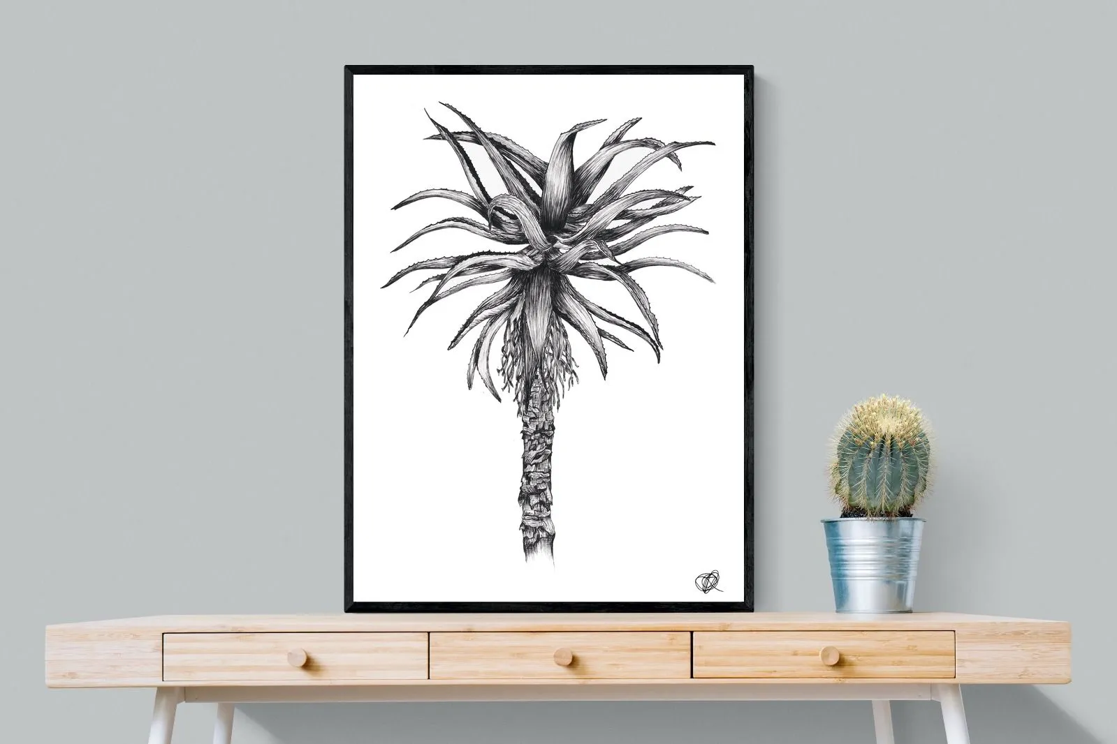 Aloe Illustration