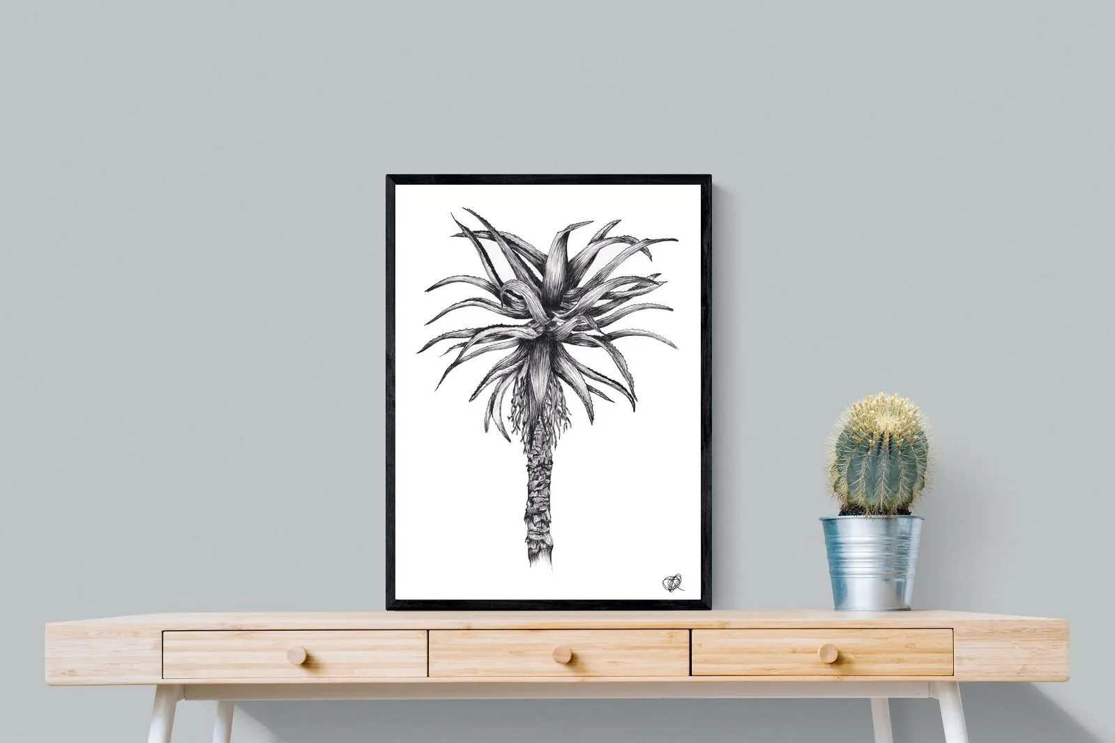 Aloe Illustration