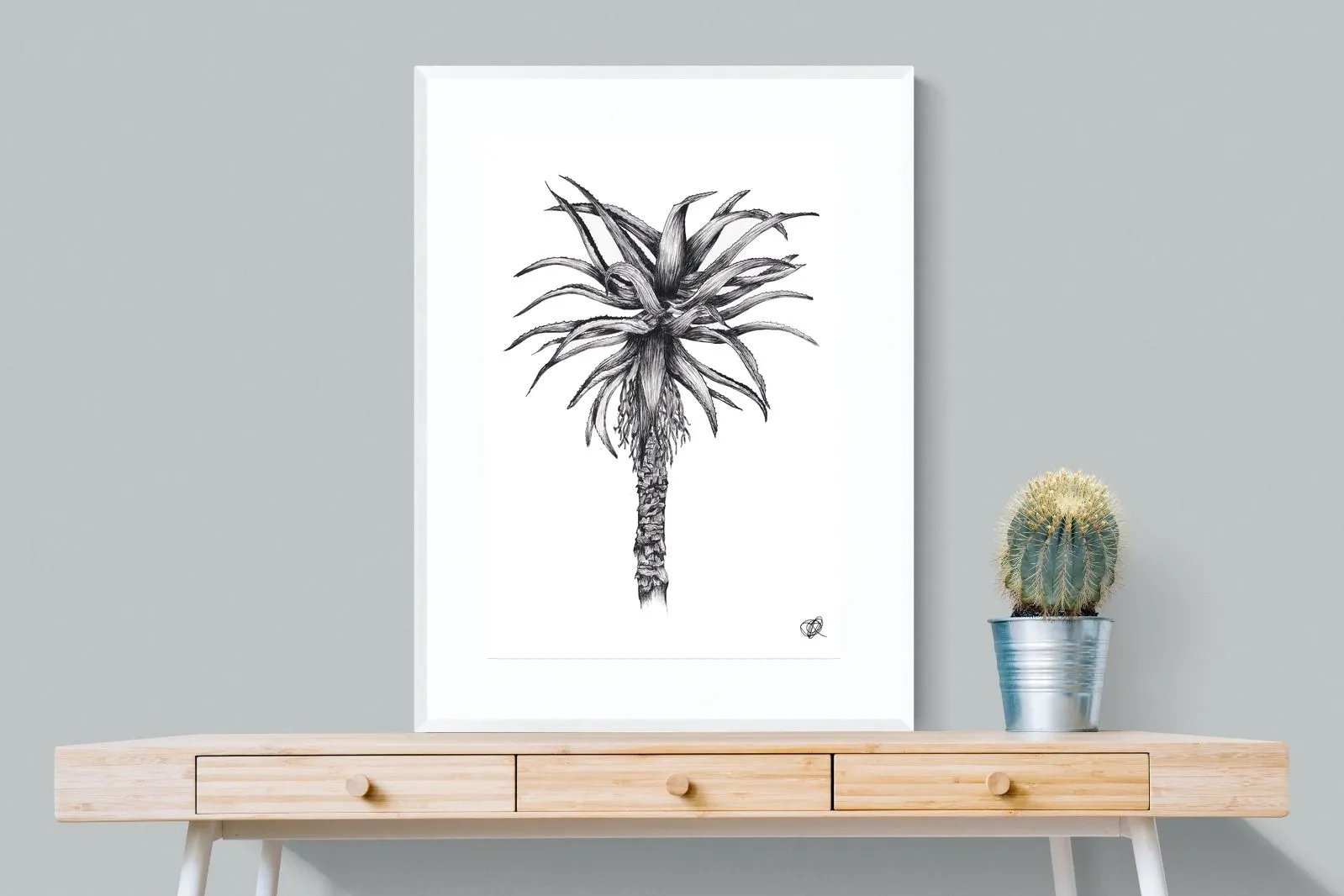 Aloe Illustration