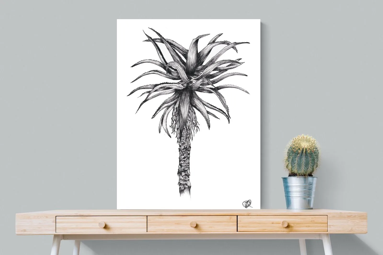 Aloe Illustration