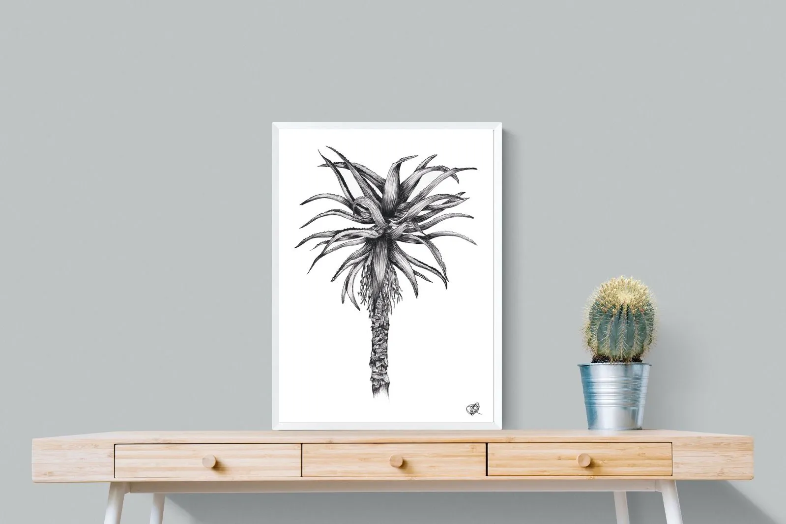 Aloe Illustration