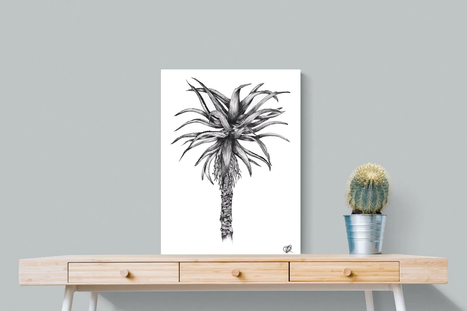 Aloe Illustration