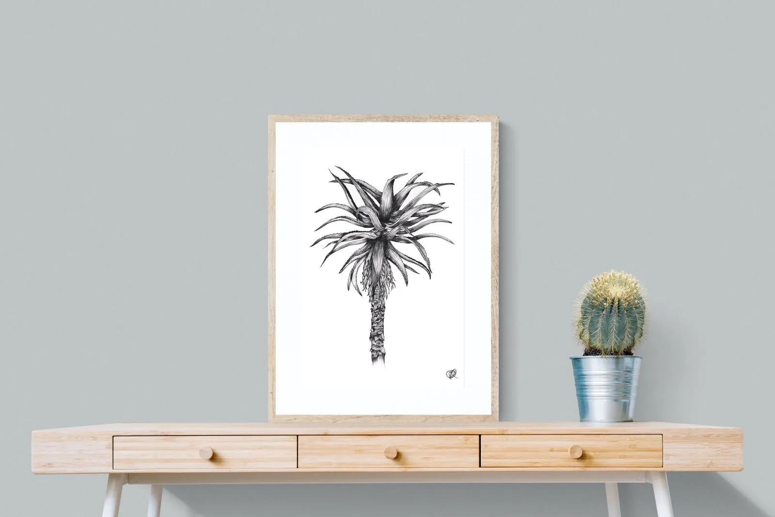 Aloe Illustration