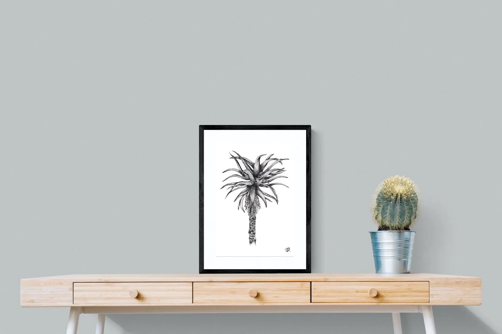 Aloe Illustration