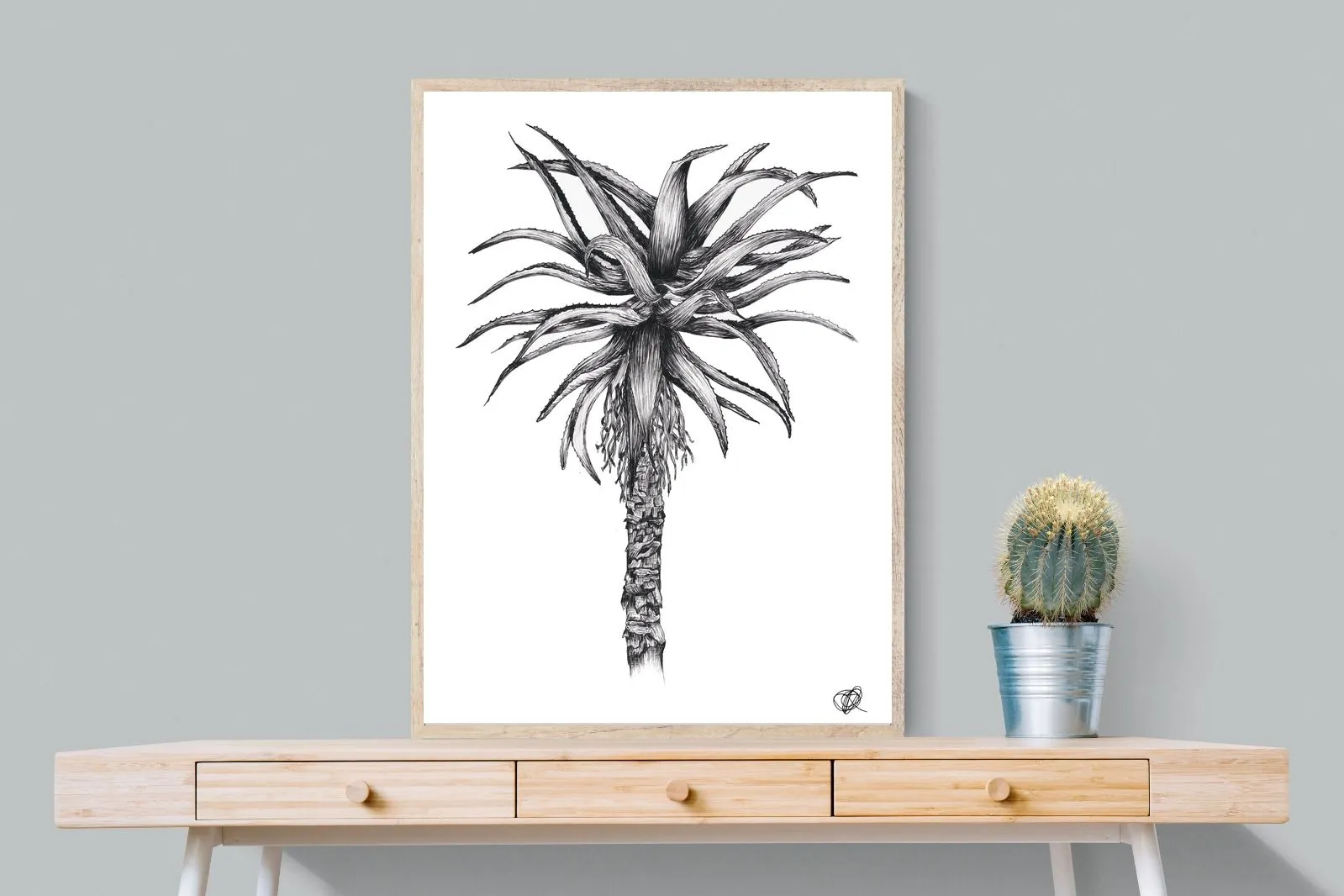 Aloe Illustration