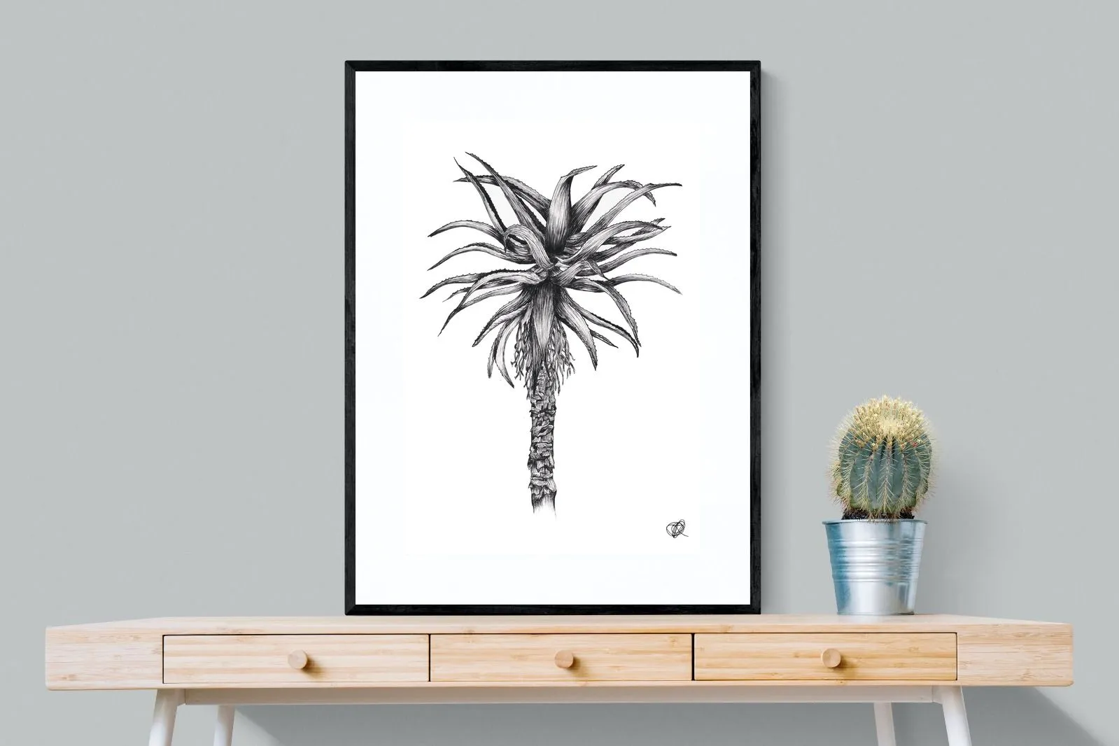 Aloe Illustration