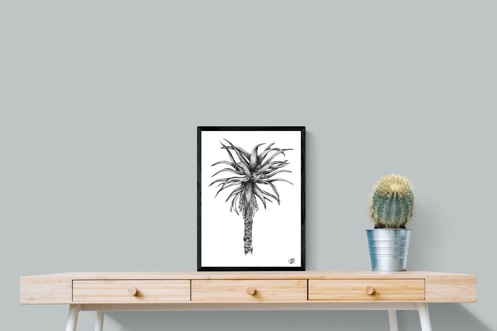 Aloe Illustration