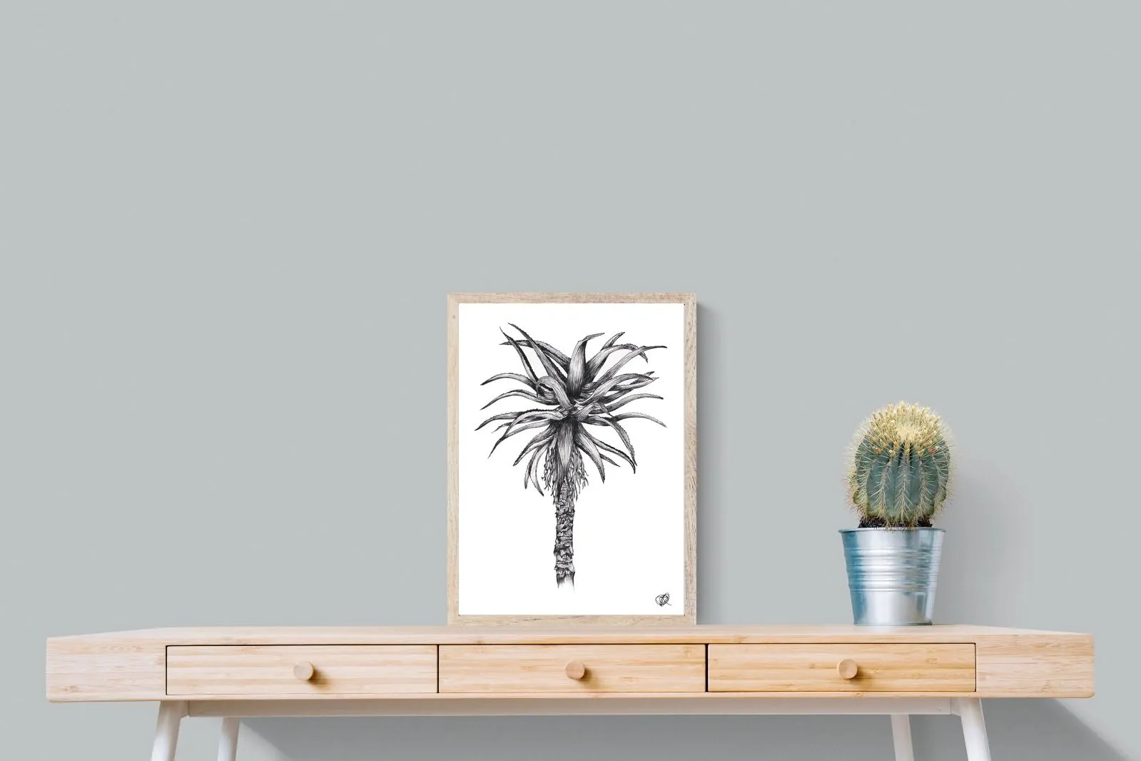 Aloe Illustration