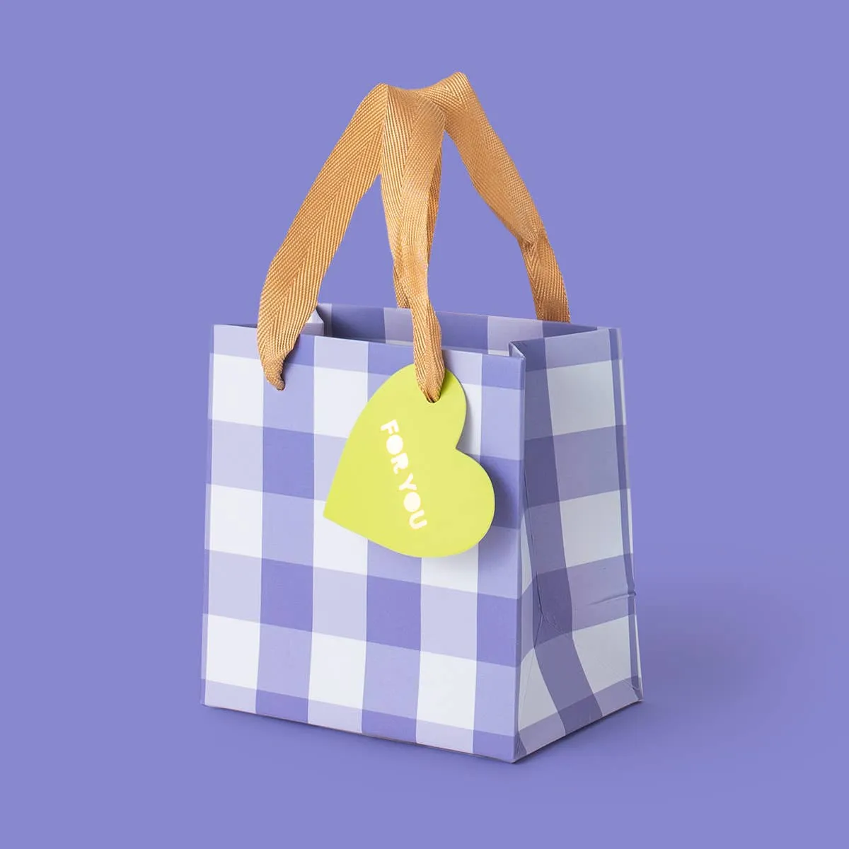 BLUE GINGHAM GIFT BAG