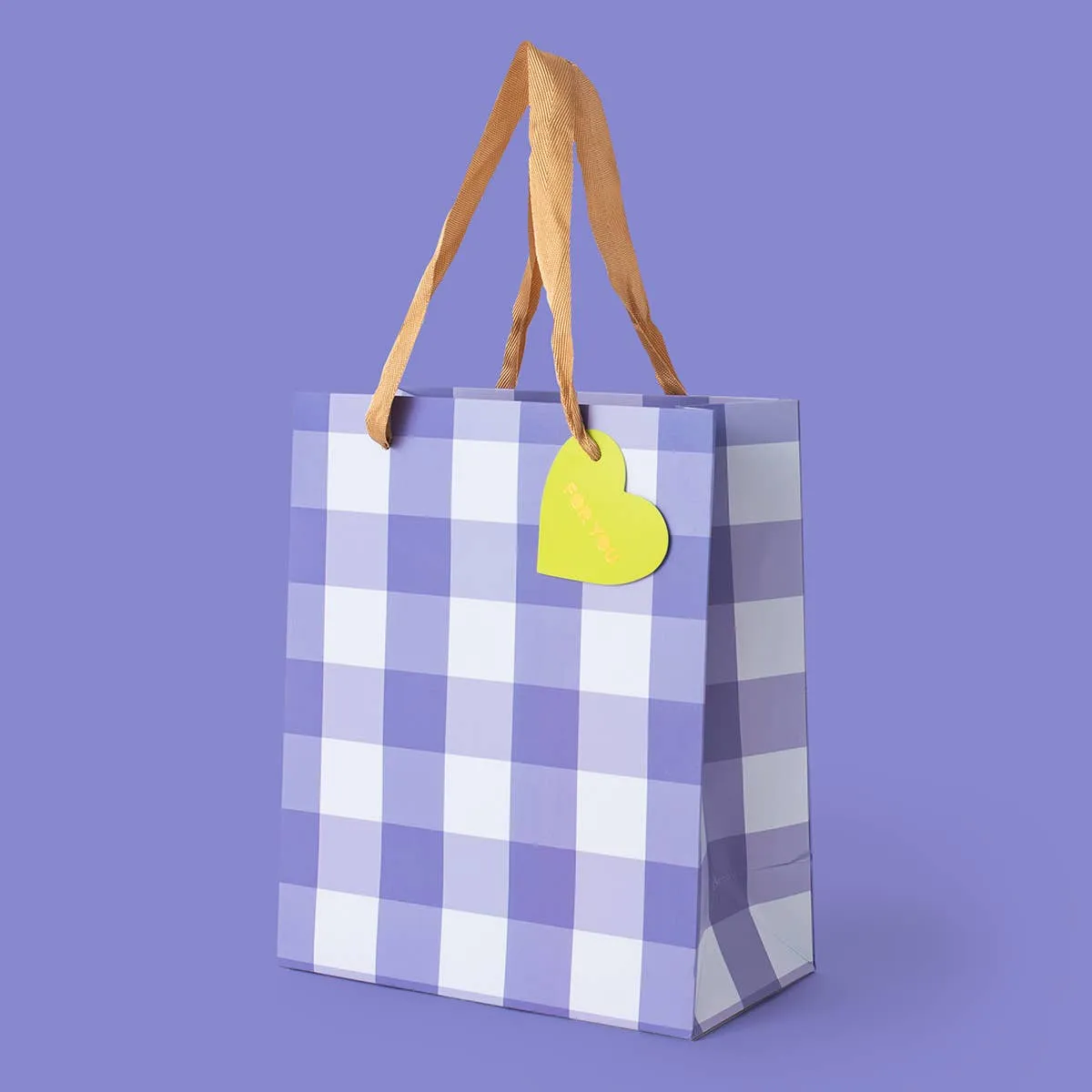 BLUE GINGHAM GIFT BAG