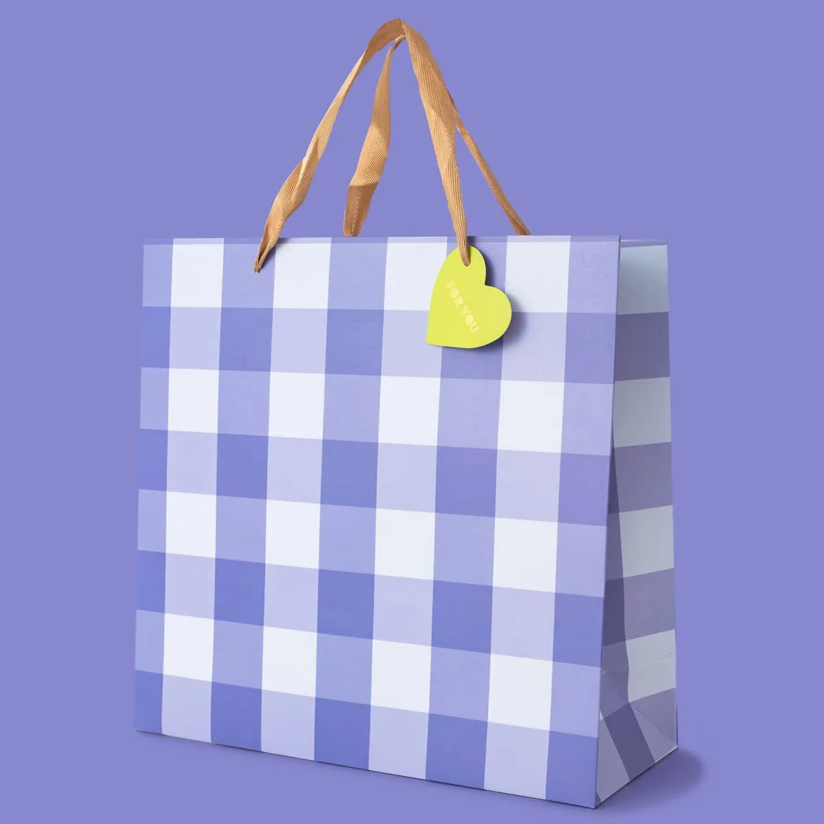 BLUE GINGHAM GIFT BAG