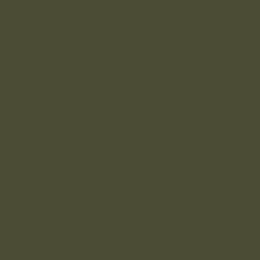 Colorline Paper Sheets 19in x 25in 300gsm Khaki Green