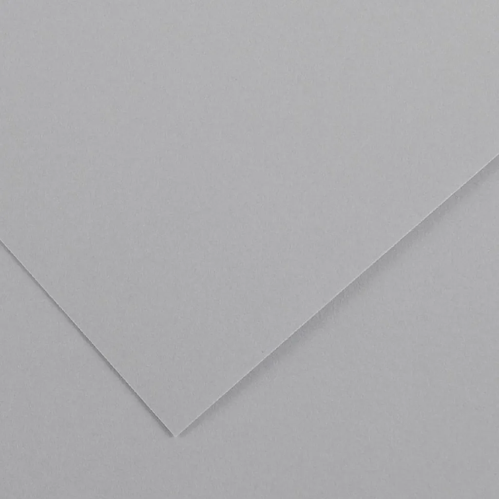 Colorline Paper Sheets 19in x 25in 300gsm Light Gray