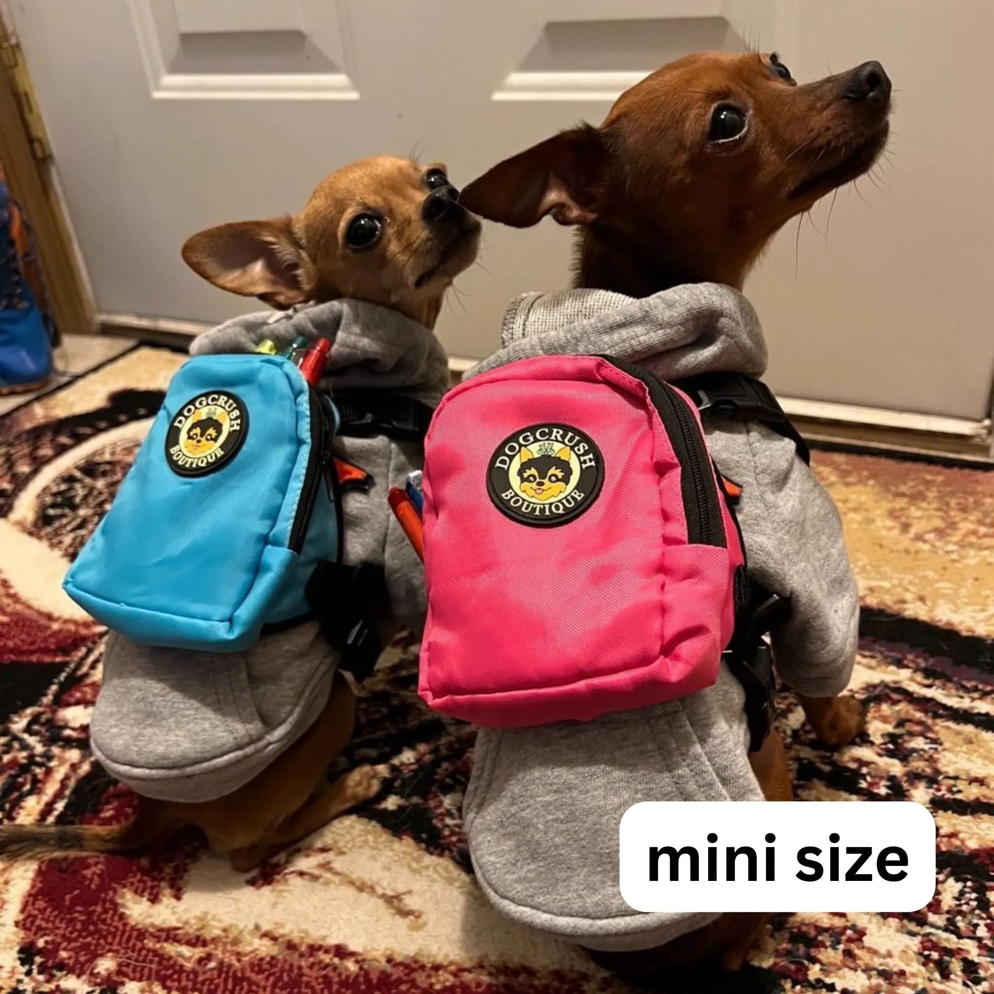 Doggie Backpacks 🎒 Day Packs For Small Dogs