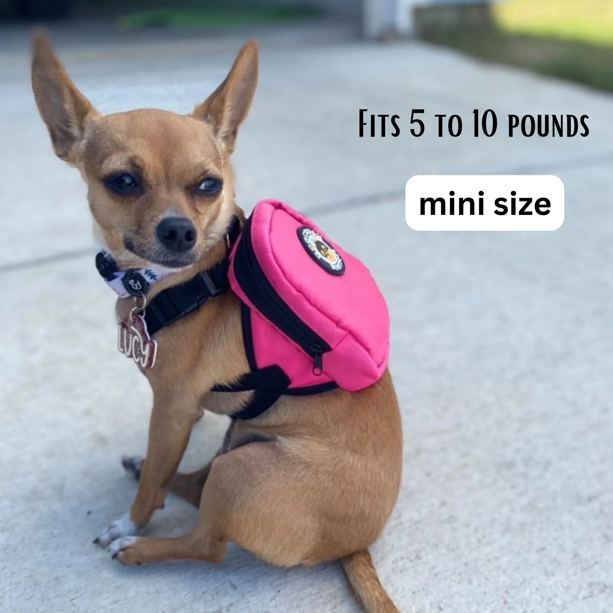 Doggie Backpacks 🎒 Day Packs For Small Dogs