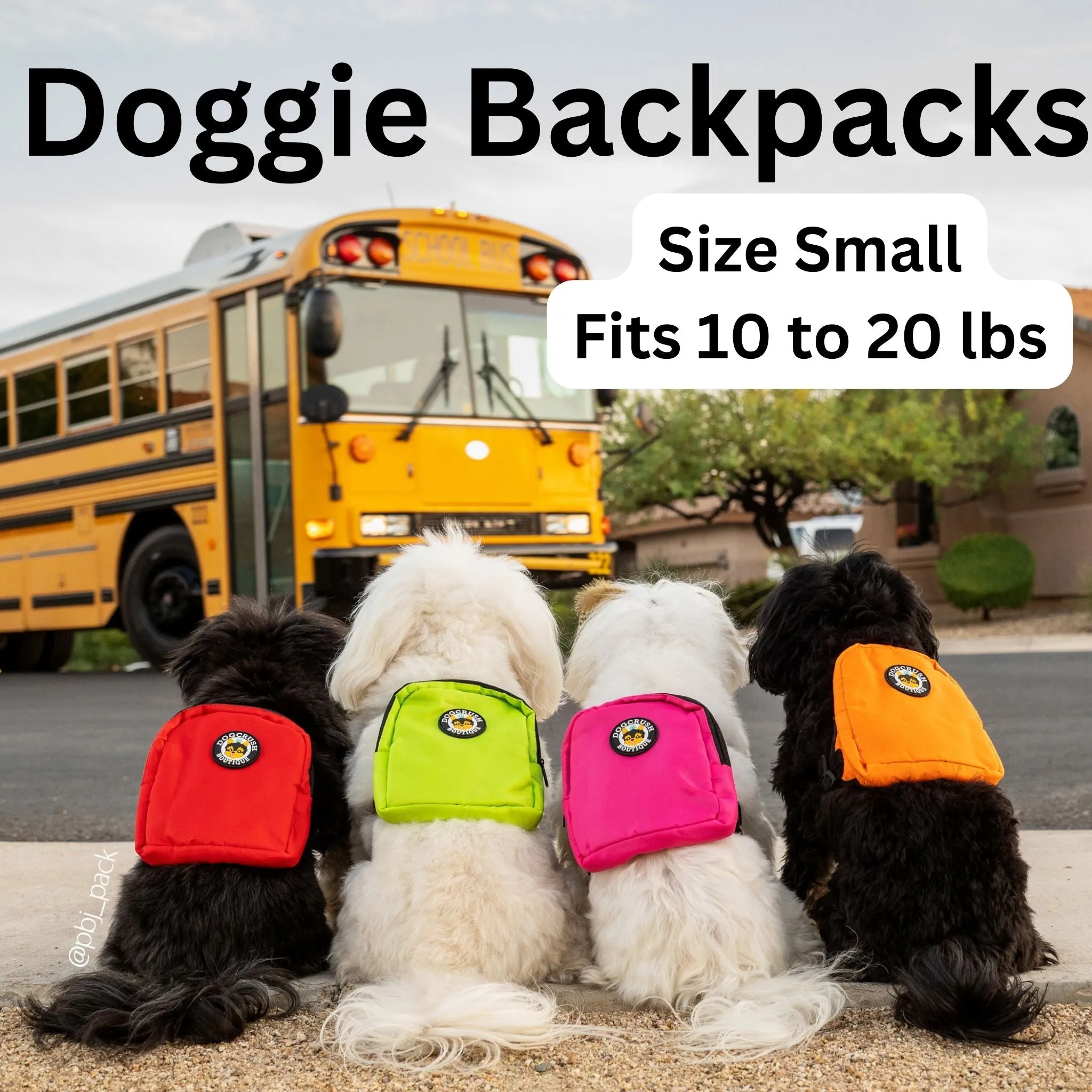 Doggie Backpacks 🎒 Day Packs For Small Dogs