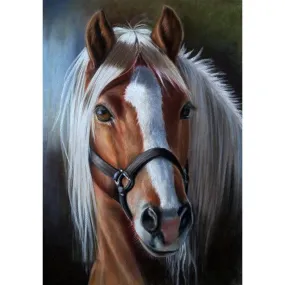 Horse Full Round Drill DIY Diamond Painting-30x40CM