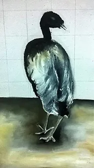 How to Paint Birds Using Oil Paints