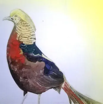 How to Paint Birds Using Oil Paints