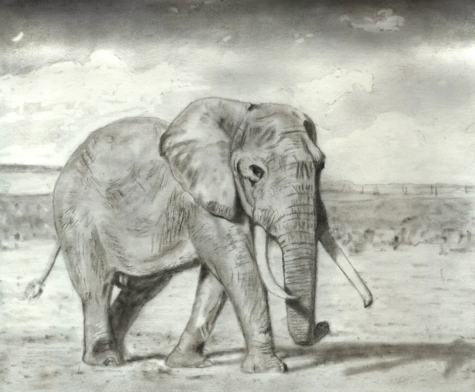 Learn How to Draw Portraits of African Animals in Charcoal For the Beginner