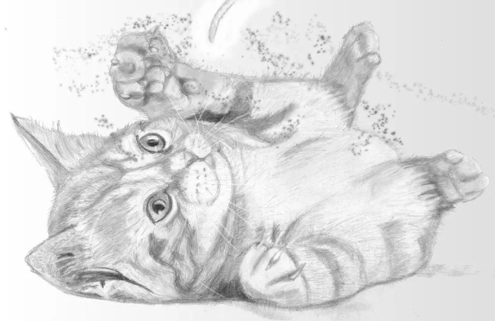 Learn How to Draw Portraits of Domestic Animals in Pencil For the Absolute Beginner