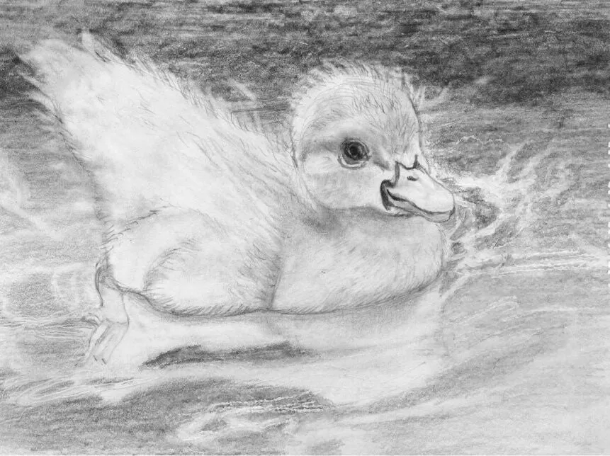 Learn How to Draw Portraits of Domestic Animals in Pencil For the Absolute Beginner