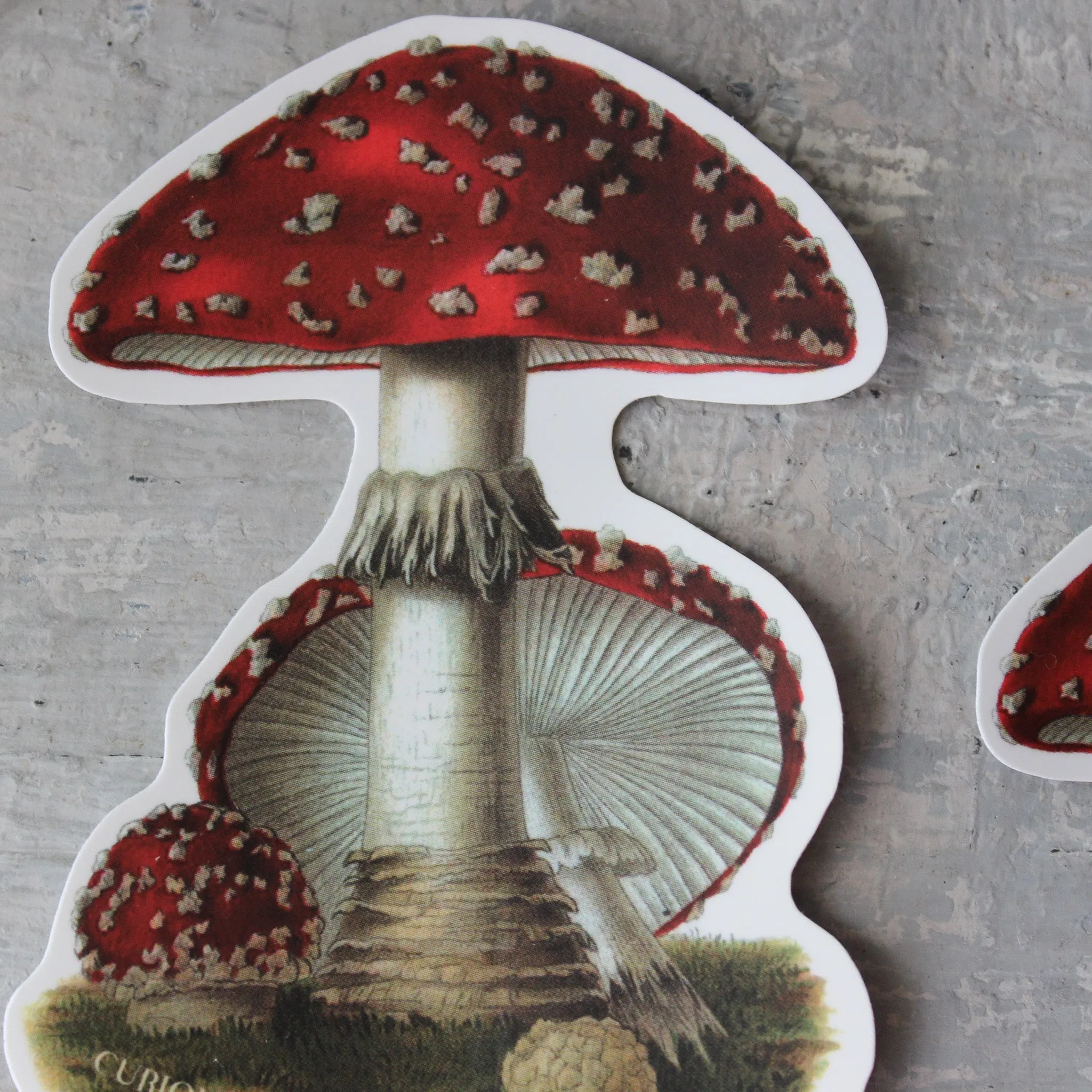 Magic Mushroom Sticker