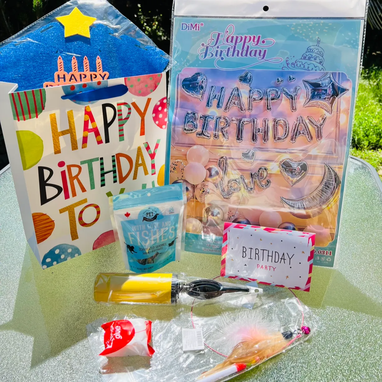 Pet Birthday Gift Package, Silver