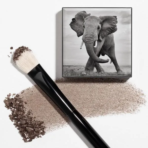 Shade and Sweep Eye Brush